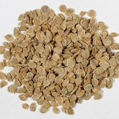 BDSresolve organic tomato seeds/hybrid tomato seeds 90 Seed(90 per packet)