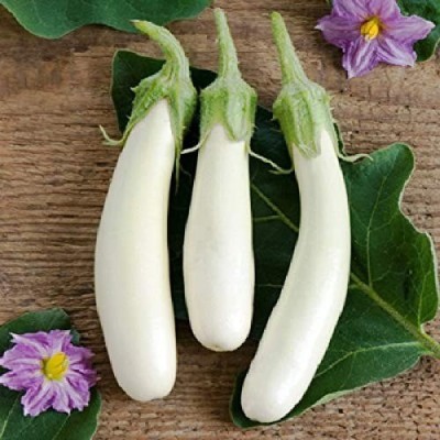 MAA Brinjal white Long, Eggplant Seed(25 per packet)