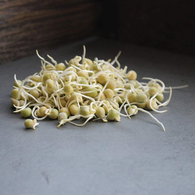 VibeX GBPUT-44 - Green Pea Sprouting - (300 Seeds) Seed(300 per packet)