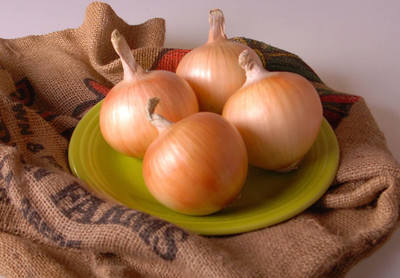 CYBEXIS PAU-79 - Texas Grano Onion SpringSummer Fall - (13500 Seeds) Seed(13500 per packet)