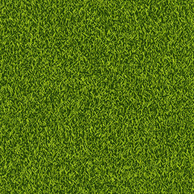 SREE Grass Seeds for Garden/Park/Playground, Lawn Grass Seed(20000 per packet)