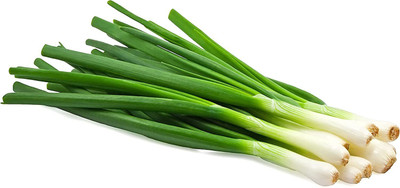 CYBEXIS VXI-87 - Scallion White Bunching Onion - (4500 Seeds) Seed(4500 per packet)