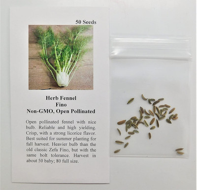 WILLVINE LX-119 Fennel Fino Seeds-1000 Seed(1000 per packet)