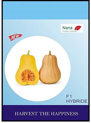 CYBEXIS XLR-6 - Pumpkin Vegetables F1 hybrid - (100 Seeds) Seed(100 per packet)