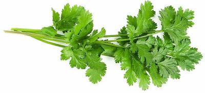 ZIXA Coriander Seed(150 per packet)