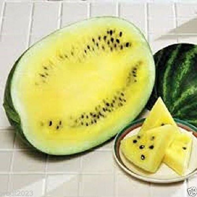 Qualtivate RES-8A Watermelon -Yellow Crunch Very sweet Seed(100 per packet)