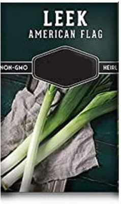 CYBEXIS Leek American2000 Seeds Seed(2000 per packet)