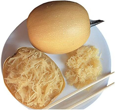 Qualtivate HUA-2A Small Wonder Hybrid Spaghetti Squash Seed(30 per packet)