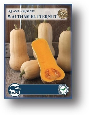 Biosnyg Waltham Butternut Squash-[50 Seeds] Seed(50 per packet)
