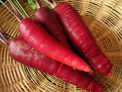 CYBEXIS HUA-82 - Carrot - Cosmic Purple - (2250 Seeds) Seed(2250 per packet)