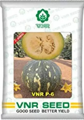 the green dotcom VNR Pumpkin Seed (800 per packet) Seed(20 per packet)