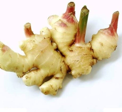the green dotcom Ginger seeds Pack of 10 Seed(10 per packet)