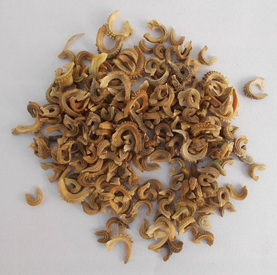 EcoFusion Calendula Mix Flower Seeds Seed(29 per packet)