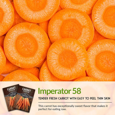 Qualtivate PUA-1A Imperator 58 Carrot Seed Seed(300 per packet)