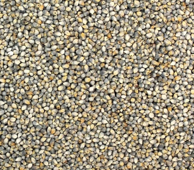 Kartika primium 1kg bajra / Pearl millet / jogariya seeds Seed(1 per packet)