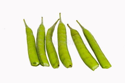 XOLDA Organic clusterbeans Seed(15 per packet)