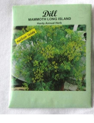 CYBEXIS ATS-33 - Bouquet Dill Non-GMO - (250 Seeds) Seed(250 per packet)