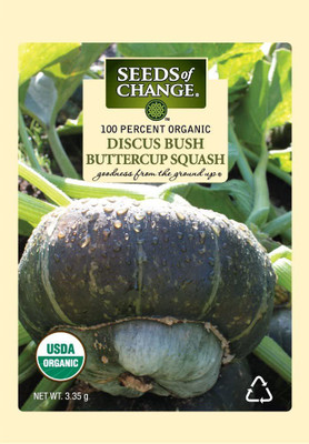 VibeX ® RXI-25 Certified Organic Discus Squash Seed(100 per packet)