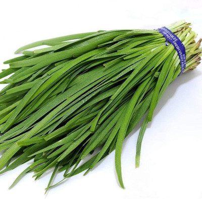Biosnyg High Germination Long Garlic Chive Seeds for Home Gardening-(1500 Seeds) Seed(1500 per packet)