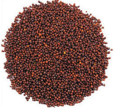 VINAYAK HERBALS RED MUSTARD SEEDS 500 GM Seed(1 per packet)