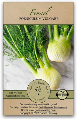 CYBEXIS LX-13 - Common Fennel (Foeniculum vulgare) - (750 Seeds) Seed(750 per packet)