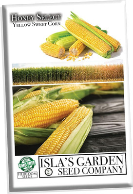 WILLVINE NKR -XIII Honey Select Yellow Sweet Corn Seeds-[250g] Seed(1000 per packet)