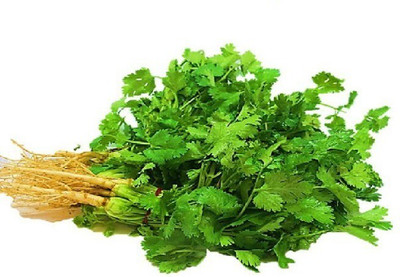 Avysa Organic Cilantro/Coriander Seed(100 per packet)