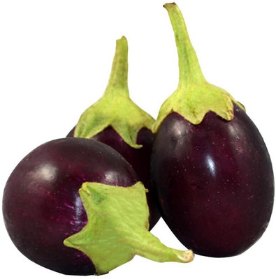 seedagro Organic galaxy puple brinjal vegetable hybrid seeds 1-packet Seed(100 per packet)