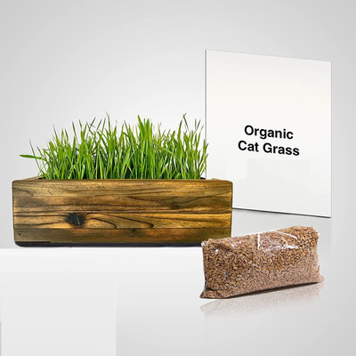 VibeX VVI-89 - Hard Red Winter Wheat - (22500 Seeds) Seed(22500 per packet)
