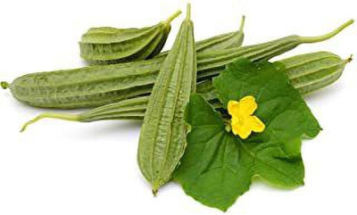 KS TRADERS Ridge gourd seeds/ vegetable seeds/ pack of 16 seeds. Seed(1 per packet)