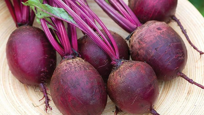 Cloud Farm beetroot F1 Hybrid Seeds For Home Gardening/beetroot seed 100 Seed(100 per packet)