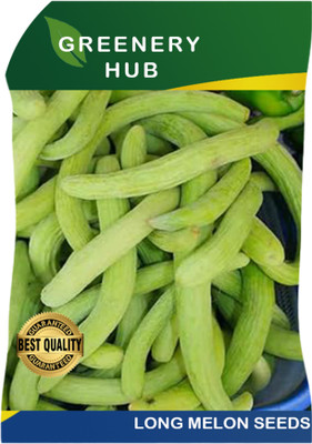 Greenery Hub Refreshing Long Melon Seeds for Home Gardens Seed(50 per packet)