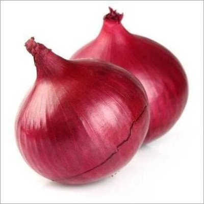 Qualtivate GBPT-9A ONION IMPROVED DARK RED / LAAL KANDA Seed(500 per packet)