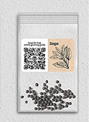 WILLVINE Non-GMO F1 HybridSage-1250 Seeds Seed(1250 per packet)