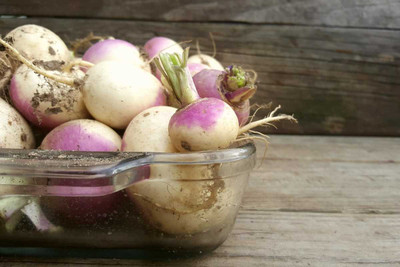 Quentova White Purple Top Turnip/Shalgam-VXL-8U Seed(200 per packet)