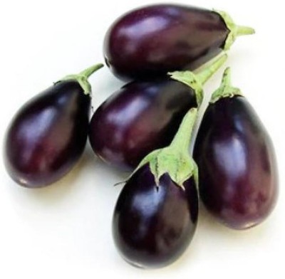 Avysa Eggplant Brinjal Vegetable Seed(250 per packet)