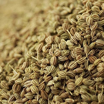 VibeX XLR-23 - Celery Utah Tall - (250 Seeds) Seed(250 per packet)