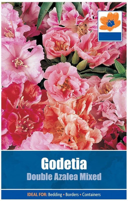 CYBEXIS Godetia Double Azalea Mixed Seeds Seed(50 per packet)