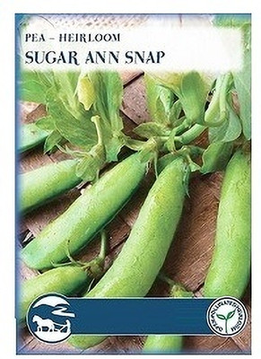 Biosnyg Sugar Ann Pea-[1000 Seeds] Seed(1000 per packet)