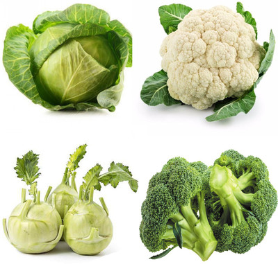 YI Saler Broccoli, Cabbage(patta gobhi), Lump cabbage(Ganth Gobhi), Cauliflower(Phool Gobhi) Seed(100 per packet)