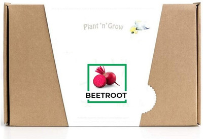 CYBEXIS Beetroot2000 Seeds Seed(2000 per packet)