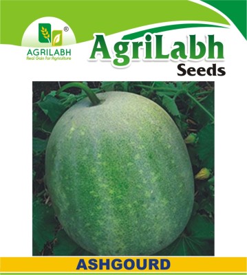 agrilabh ASHGOURD SEEDS Seed(15 per packet)