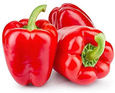 CYBEXIS PAU-79 - RED CAPSICUM (SHIMLA MIRCH) - (150 Seeds) Seed(150 per packet)
