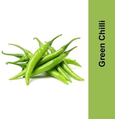 Quentova Green Chilli (Hari Mirch)-8T-DLX Seed(250 per packet)