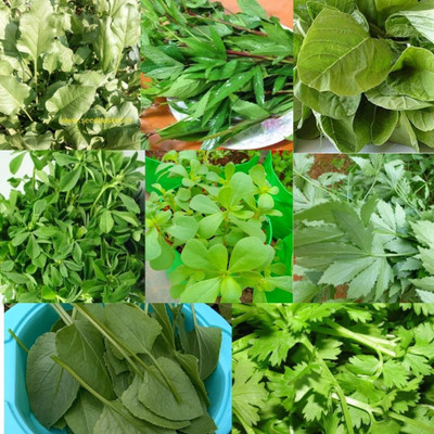 seedbasket Green Leafy Native vegetable seeds kit pack of 8 With 4800 Seeds and Instruction Manual- Germination Guaranteed - Seed(4800 per packet)