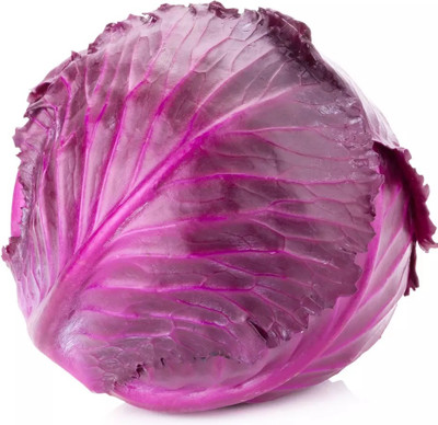 MYLAWN Chinese Purple Cabbage Seed(100 per packet)