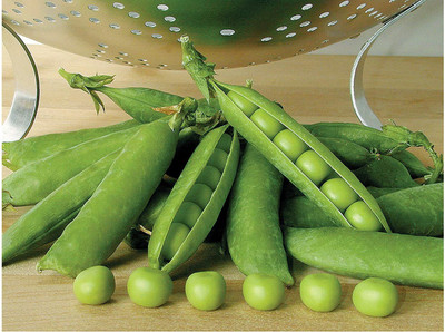 VibeX ® VLR-533 Seeds Pea Sweet Miracle Giant Green Seed(50 per packet)