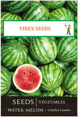 WILLVINE Fruit Deep Crimson Red High Yield Hybrid Watermelon -[125 Seeds] Seed(125 per packet)