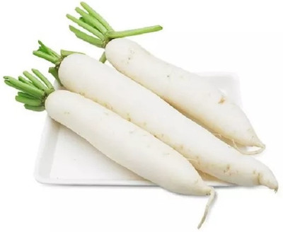 VINTI Mooli radish Vegetable Seed(3000 per packet)