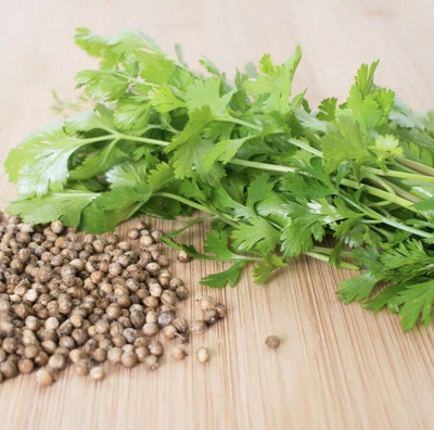 Avysa Coriander Chinese parsley Coriandrum Seed(200 per packet)
